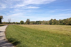 Ground view of the walking trail.